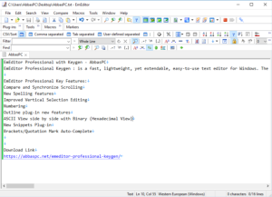 EmEditor Professional License Key Download